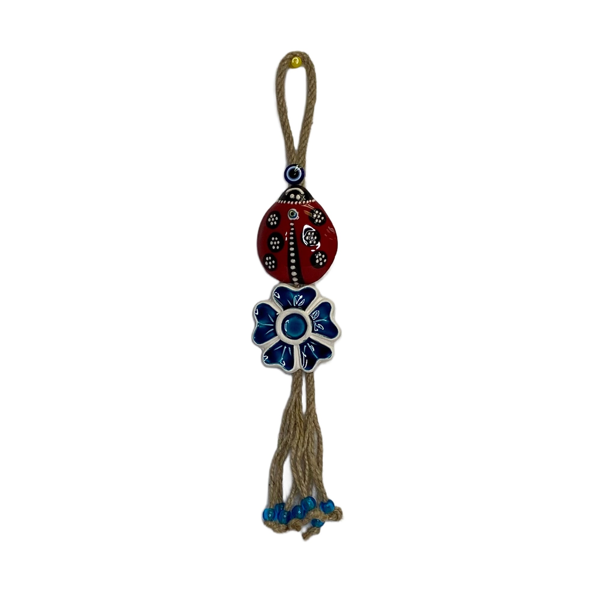 Ladybug Evil Eye
